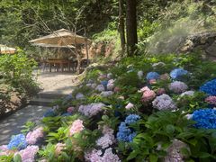 -牛背梁国家森林公园