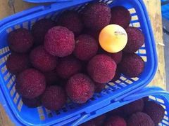 -上海龙吴水胜海发市场