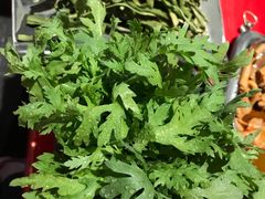 -谭鸭血老火锅(漳州路店)