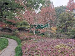-申粤轩酒楼·三十年粤菜经典(丁香花园店)