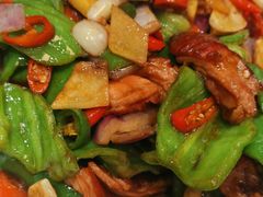 螺丝椒炒肥肠-大眼锅贴水饺(河东店)