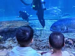 -华夏文旅海洋公园