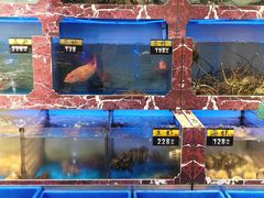 -长平肥姐白粥·海鲜打冷