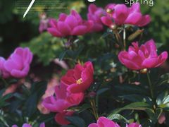 -河南省黄河迎宾馆