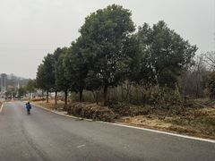 -雅和生态渔庄·宜城锅巴饭(龙灵山公园店)