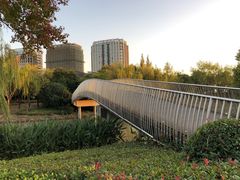 -南翔镇银翔湖公园