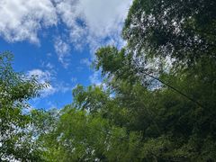 -萍乡武功山风景名胜区