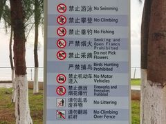 -万绿园