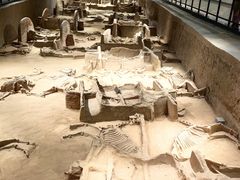 -洛阳周王城天子驾六博物馆