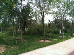 -武清南湖绿博园