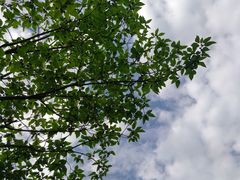 -西安世博园