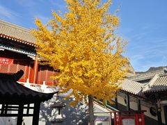 -圣莲山风景区