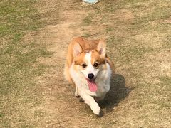 -钟山体育运动公园