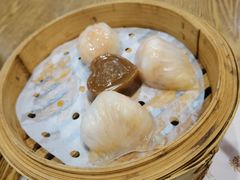 金牌虾饺皇-赏点粤式点心(广州塔店)