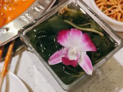 -大龙燚火锅