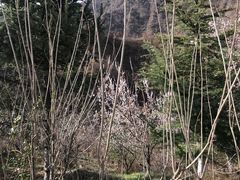 -斯瑞特国际酒店