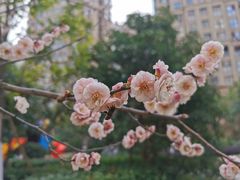 -南通博物苑-崇川人民公园