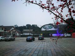 -郫都区农科村景区