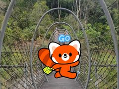 -海南热带雨林国家公园吊罗山景区