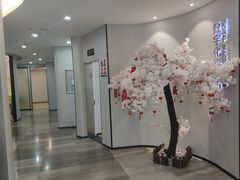 -牙博士口腔(杨浦店)