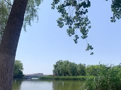 -大兴滨河森林公园