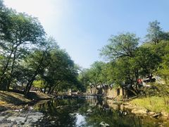 -鹿亭中村