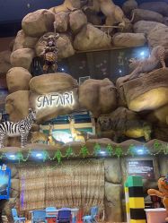 点击看大图 -卡通尼·Safari非洲探索乐园·生日会(金桥国际商业广场店)