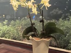 -湖畔居茶楼(湖滨店)