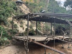 -西双版纳原始森林公园