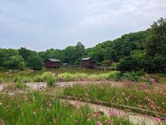 -宝岩生态观光园