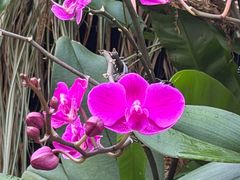 -北京植物园-展览温室