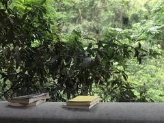 -乐领拈花溪·林涧食韵