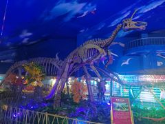 -诸城市恐龙博物馆
