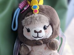 -张掖大佛寺景区