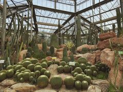 -华南国家植物园-售票处