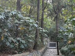 -云龙湖旅游景区