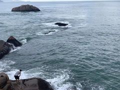 -东极岛景区
