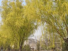 -莲花池公园