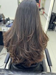 -FINE HAIR 烫染专业设计