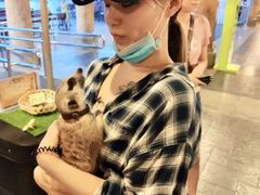 -清迈夜间动物园