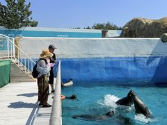 -秦皇岛乐岛海洋王国