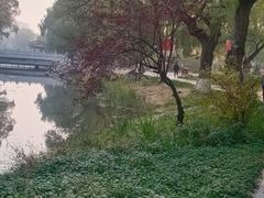 -万泉公园