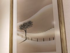 -DFS迪斐世(香港广东道店)