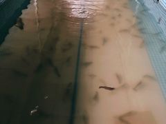 -小象钓虾·营地烧烤(洛溪店)