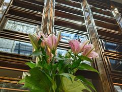 -行者书屋大堂吧 ·下午茶(南京圣和府邸酒店)