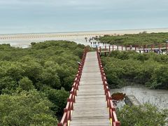 -北海金海湾红树林生态旅游区