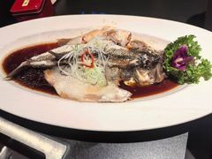 -艳阳天民俗村(公园路店)