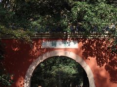 -灵谷景区
