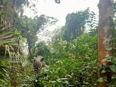 -海南热带野生动植物园