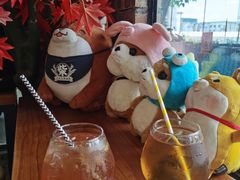 -柴犬高等学院·狗咖·柴犬售卖·宠物训练